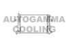 OPEL 1300212 Radiator, engine cooling